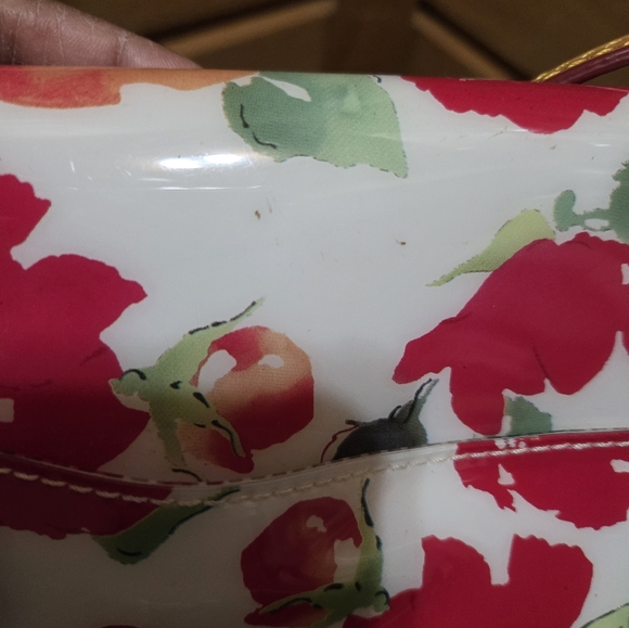 Dooney & Bourke Rose Garden Flower Leather and PVC Crossbody Bag - Picture 6 of 12